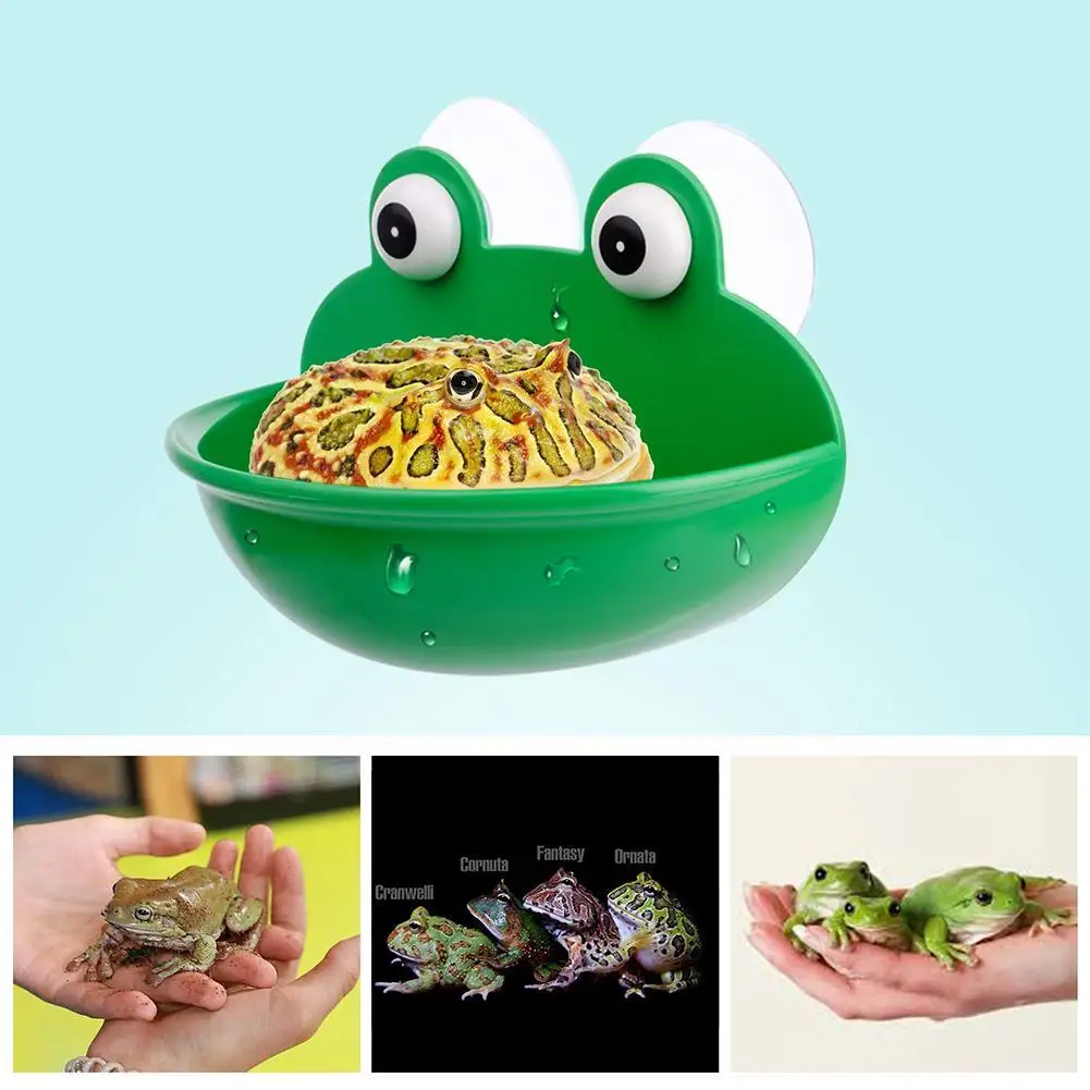 Декоративная чаша для аквариума с присоской лягушек головастиков черепашек
