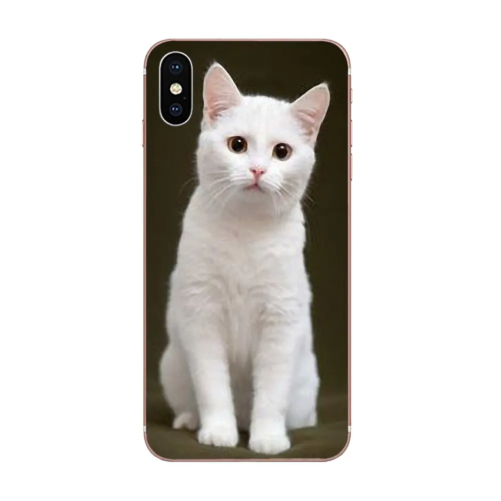 For Huawei Honor 4C 5A 5C 5X 6 6A 6X 7 7A 7C 7X 8 8C 8S 9 10 10i 20 20i Lite Pro Soft Capa Cover Case Little Kitten Cute Cat | Мобильные