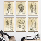 Медицина, Анатомия человека, скелет мышц, ретро искусство, холст, живопись, скандинавские плакаты и принты, настенные картины, декор для больницы и офиса