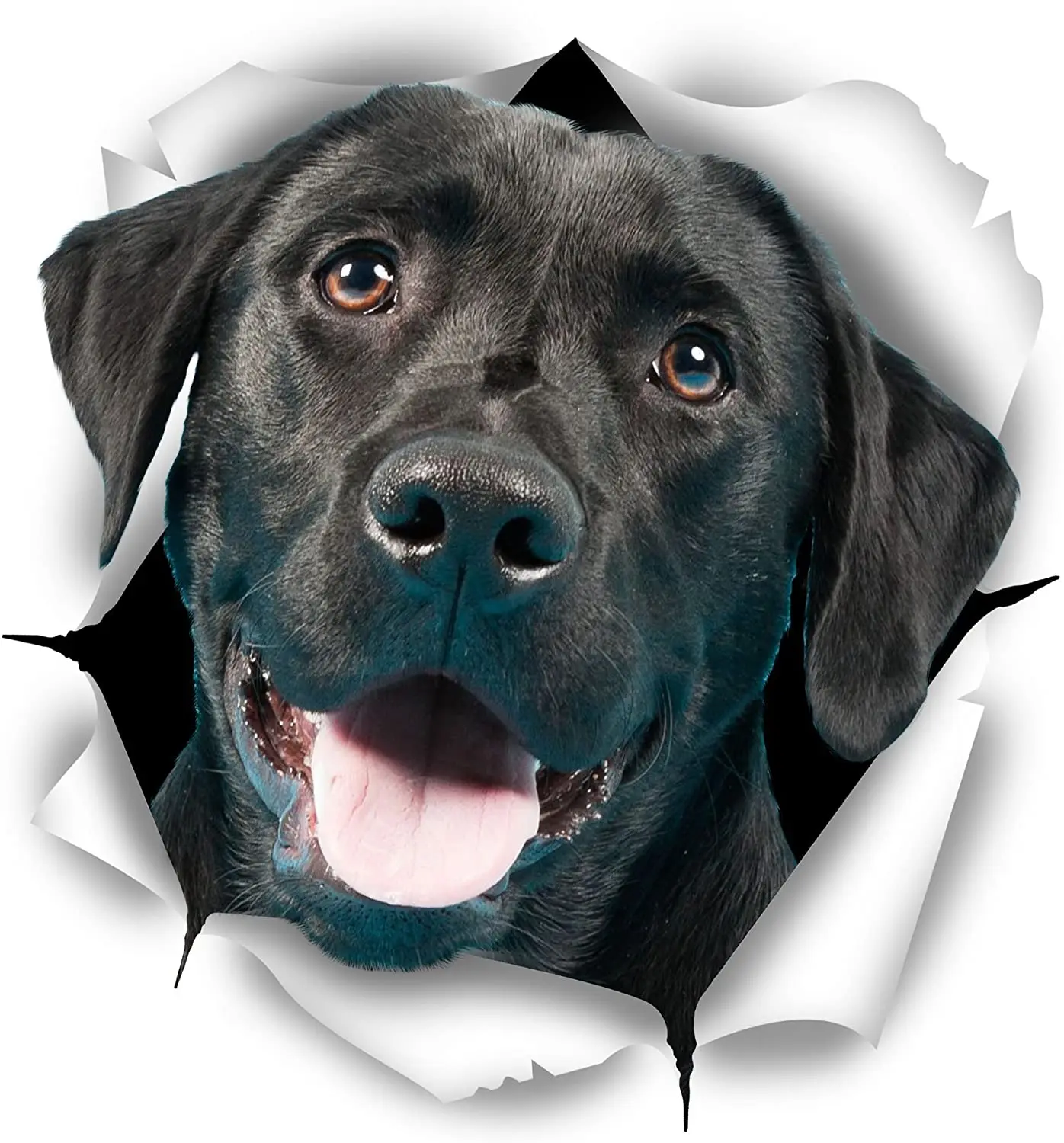 

Creative Animal Cute Black Labrador Torn Metal Car Sticker Waterproof Decal Laptop Suitcase Motorcycle Auto Accessories Kk12*9cm