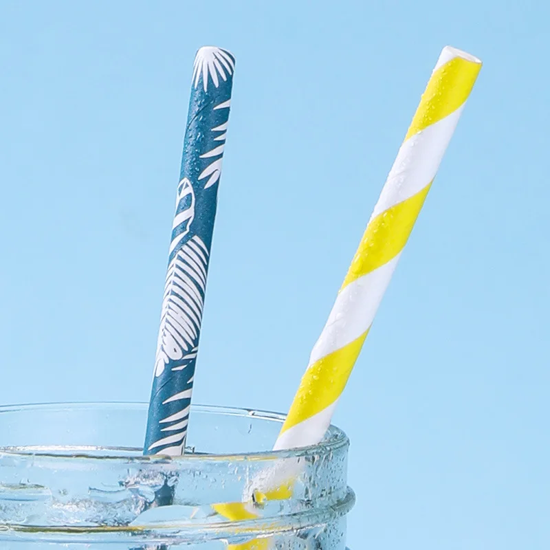 Одноразовая бумажная соломинка Коко кактус иллюстрация для питья кухонный