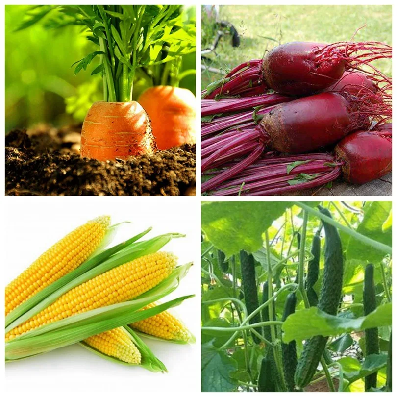 5 ~ 50 м ширина: 1 2 красная пленка для выращивания мульчи более эффективная овощных