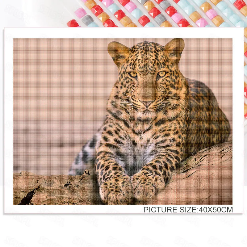

Diy Diamond Painting Animals World Wild Protected Animals Leopard Modern Living Room Decoration Painting Hanging Painting