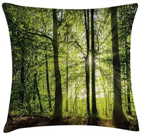 

Pooizsdzzz Fore Throw Pillow Cushion Cover, Sunny Fore in The Springtime with Sunbeams Rural Areas Jungle Nature Photo Art,