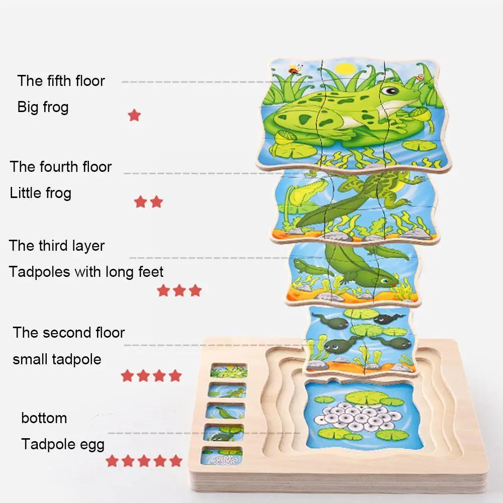 

Educational 5 Layers Wooden Puzzle Human Body Structure Teaching Kindergarten Animal Toy Baby Life Aid Cycle Motessori Cogn U8V7