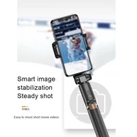 handheld grip stabilizer tripod 3 in 1 selfie stick handle remote holder selfie stand for iphoneandroidhuawei mini tripods