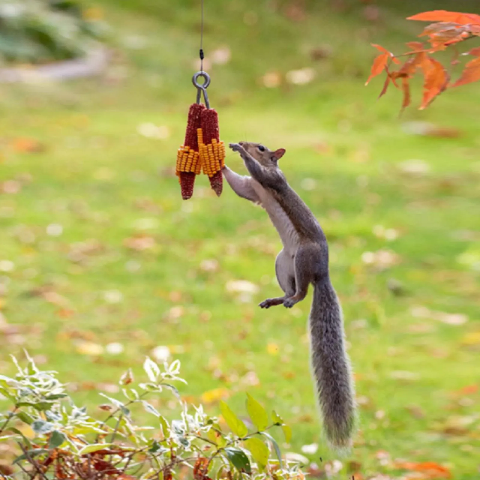 

Garden Forest Squirrel Feeder Wild Animal Feeder Tree-hanging Squirrel Bird Feeding Device Pet Feeding Supplies Garden Decor