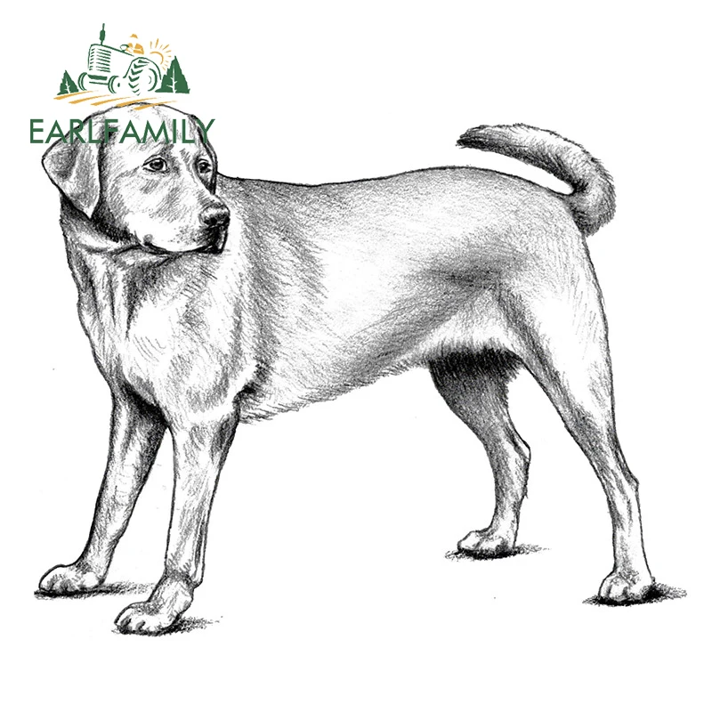

EARLFAMILY 13cm X 10.7cm for Labrador Retriever Waterproof Car Stickers Scratch-Proof Decal Occlusion Scratch Car Assessoires
