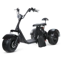 three wheeled electric ticycle city wide tire lithium battery front and rear shock absorption lithium battery removable