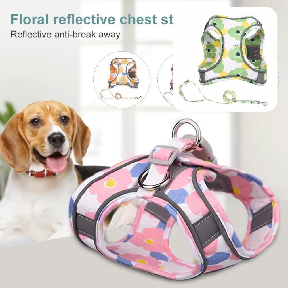 

Breathable Practical Pet Cats Harness Traction Rope Set Skin-friendly Pet Harness Set Fastener Tape for Outdoor