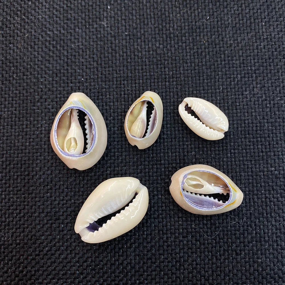 Подвеска из натуральных ракушек Размер 15-25 мм для изготовления ювелирных изделий