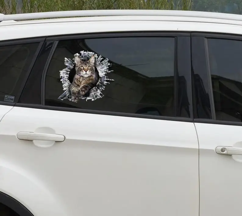 

2021 Funny Maine coon window sticker, car sticker, Maine coon car decal, window sticker