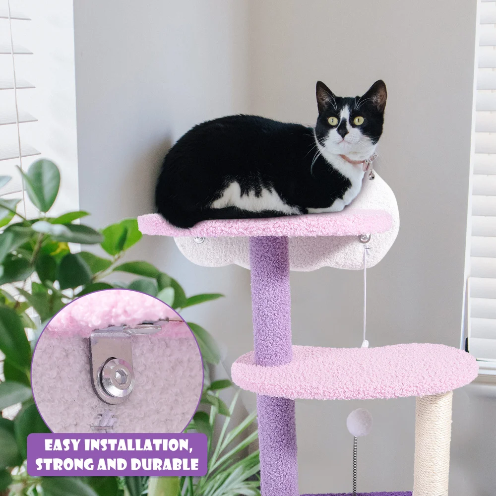 

Pet Products