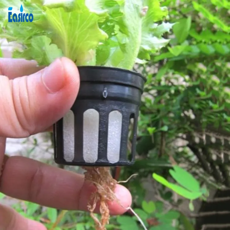 DWC 5x5 галлонов Cloner круглое ведро для Hdroponics системы. Глубокая вода культуры