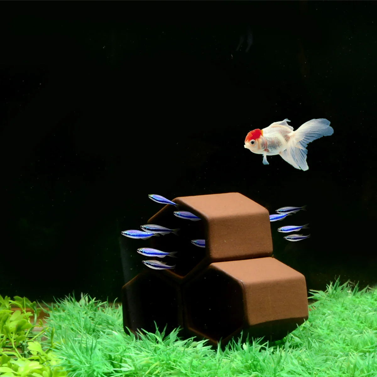 Декор для аквариума Saim рыбка креветка нерестовая пещера прикрытие с высокой