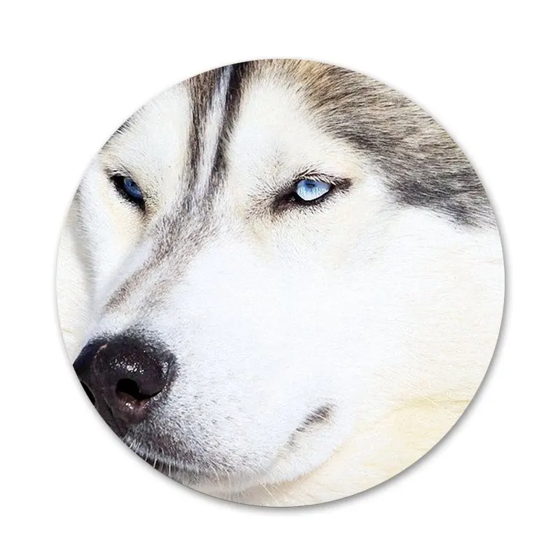 

58mm Luxury Husky Dog Diy Icons Pins Badge Decoration Brooches Metal Badges For Backpack Decoration