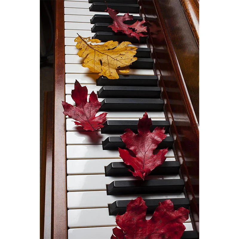 DIY 5D алмазная живопись на кленовом листе вышивка крестиком Стразы мозаичный узор