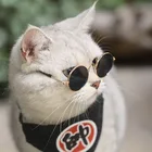 2020 модные мини-очки для кошек, Необычные Солнцезащитные очки для домашних животных, реквизит для фото, солнцезащитные очки, индивидуальные аксессуары