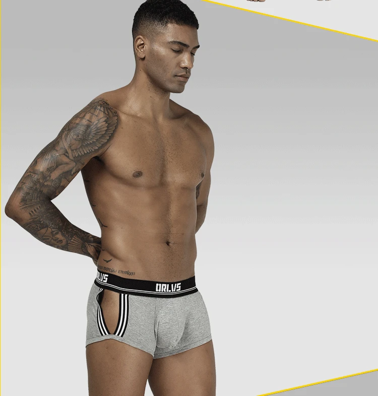 ORLVS Брендовое Мужское нижнее белье мужские сексуальные боксеры cueca masculina дышащие Ropa Interior hombre мужские трусы-боксеры calzoncillo hombre