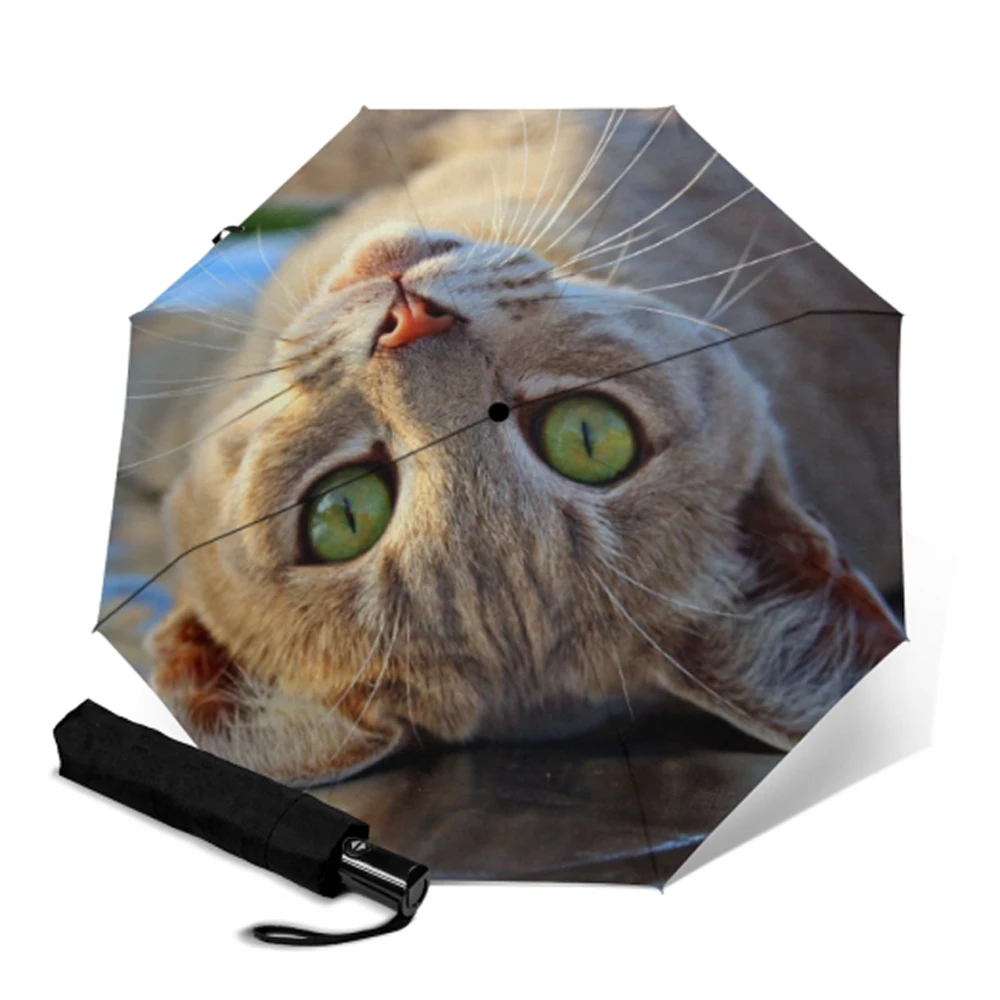Креативный автоматический зонт с принтом котенка компактный складной защитой от