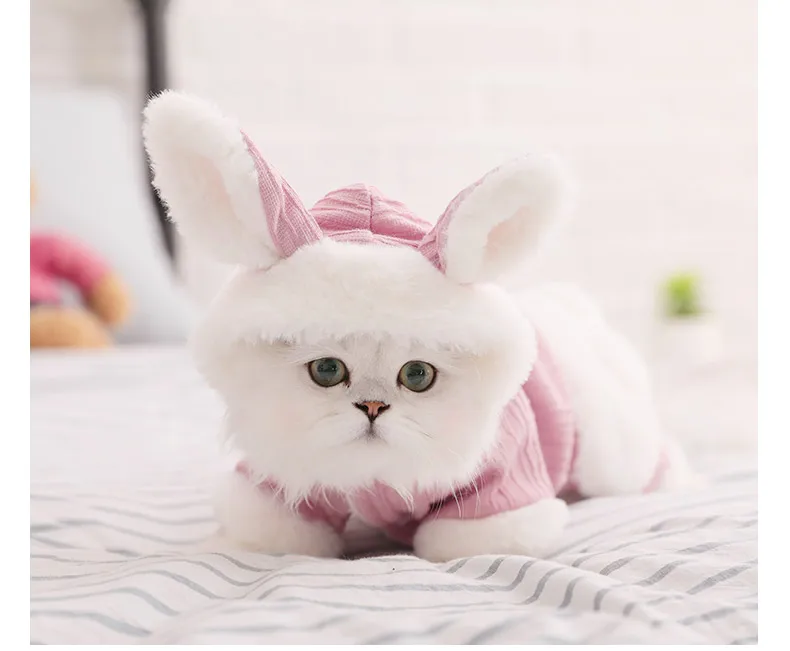 Теплая одежда для кошек HOOPET, зимняя куртка для питомцев, щенков, котят, куртка для маленьких и средних собак, кошек, чихуахуа, одежда, костюм