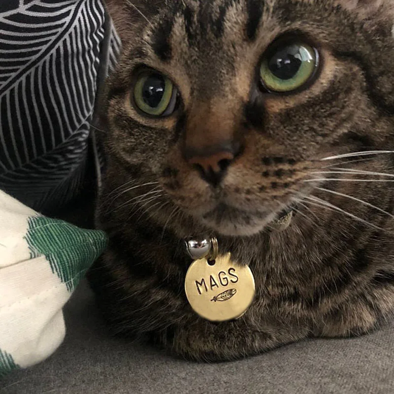 Индивидуальное ожерелье с именем питомца подвеска собаки из нержавеющей стали