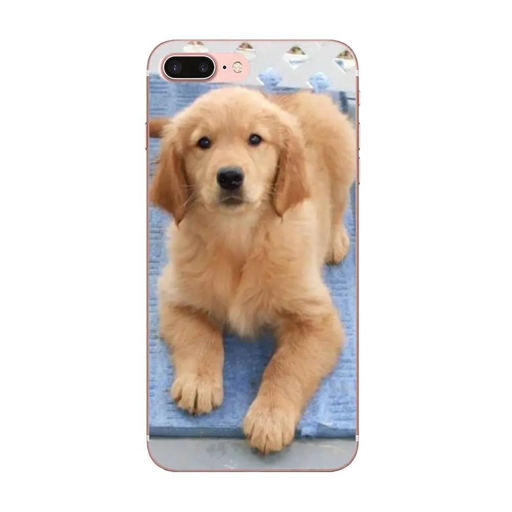 Мягкий щенок золотистого ретривера для HTC Desire 530 626 628 630 816 820 One A9 M7 M8 M9 M10 E9 U11 U12 Life Plus