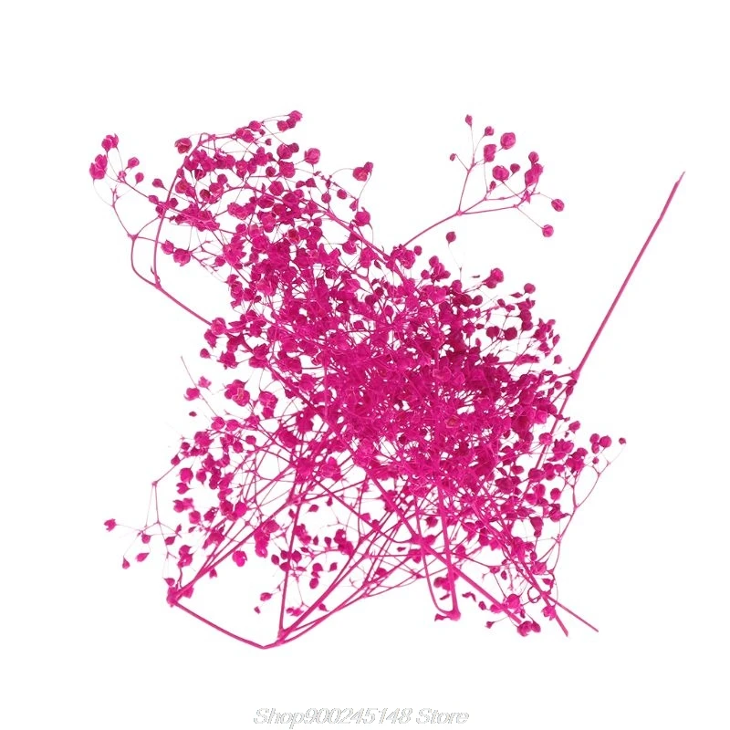 

1 Box Filling Flower Dry Handmade Flowers DIY Epoxy Resin Filler Crafts Silicone Molds Tools Crystal UV Jy14 20 Dropship