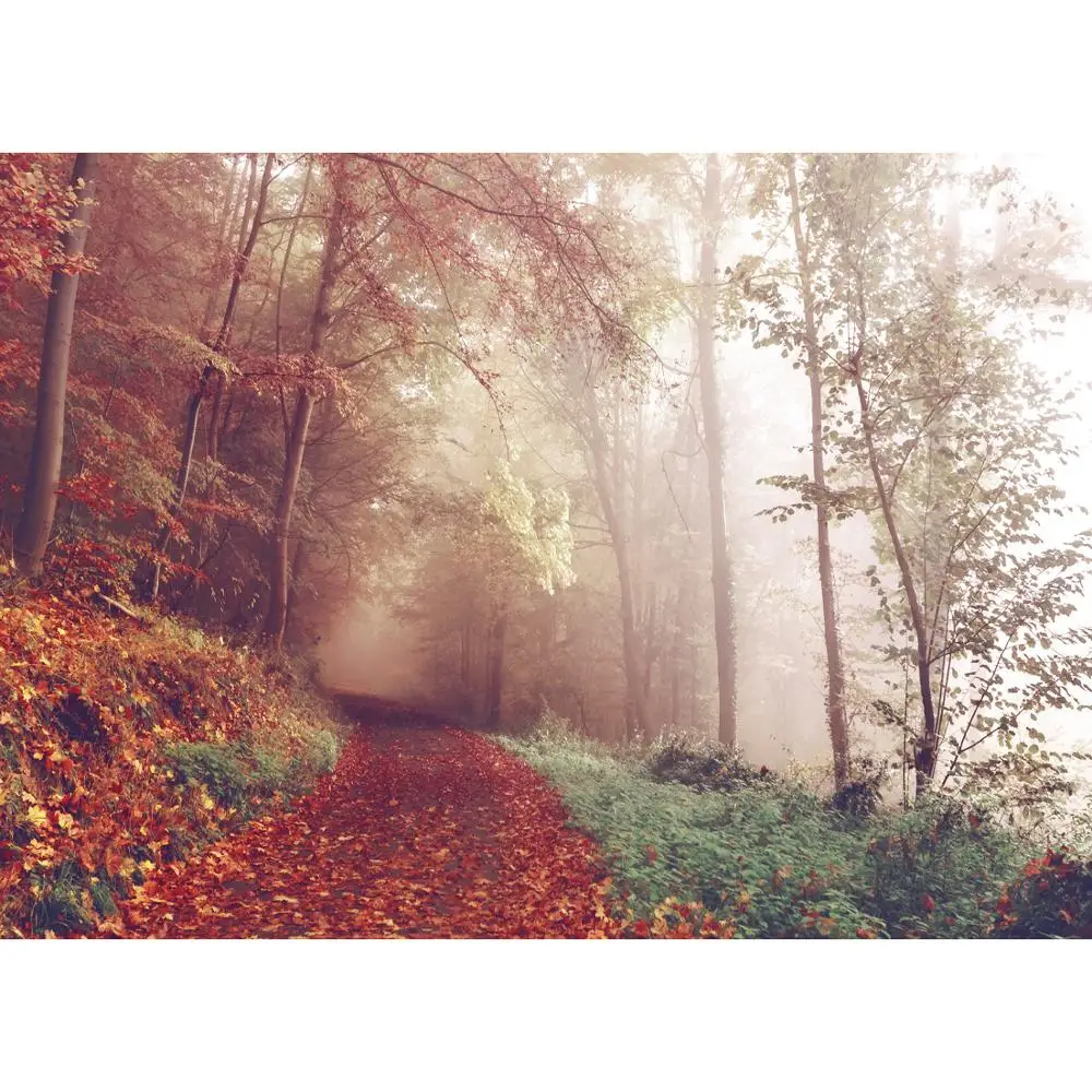 

Vinyl Custom Photography Backdrops Props Landscape wood Theme Photo Studio Background HM20721-06