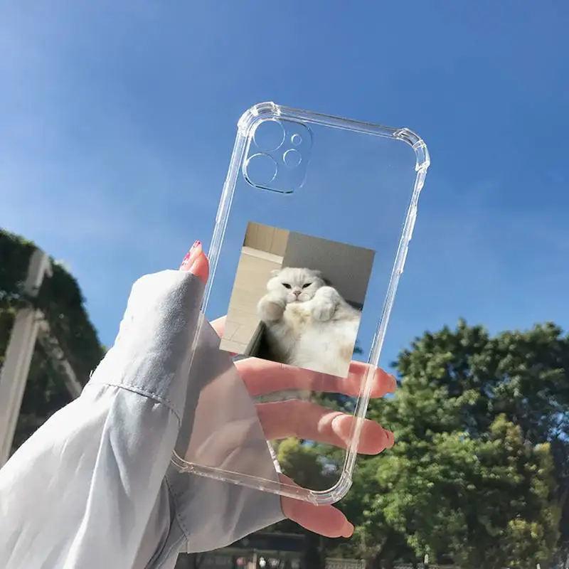 

cat Phone Case Transparent for Clear iPhone 11 12 8 7 6 6S XS MAX Plus X 5S SE 2020 XR mini pro