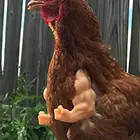 Забавная креативная куриная рука, 1 пара, новая декоративная 3D игрушка для крепких мышц, для праздника, реквизит для фотосъемки