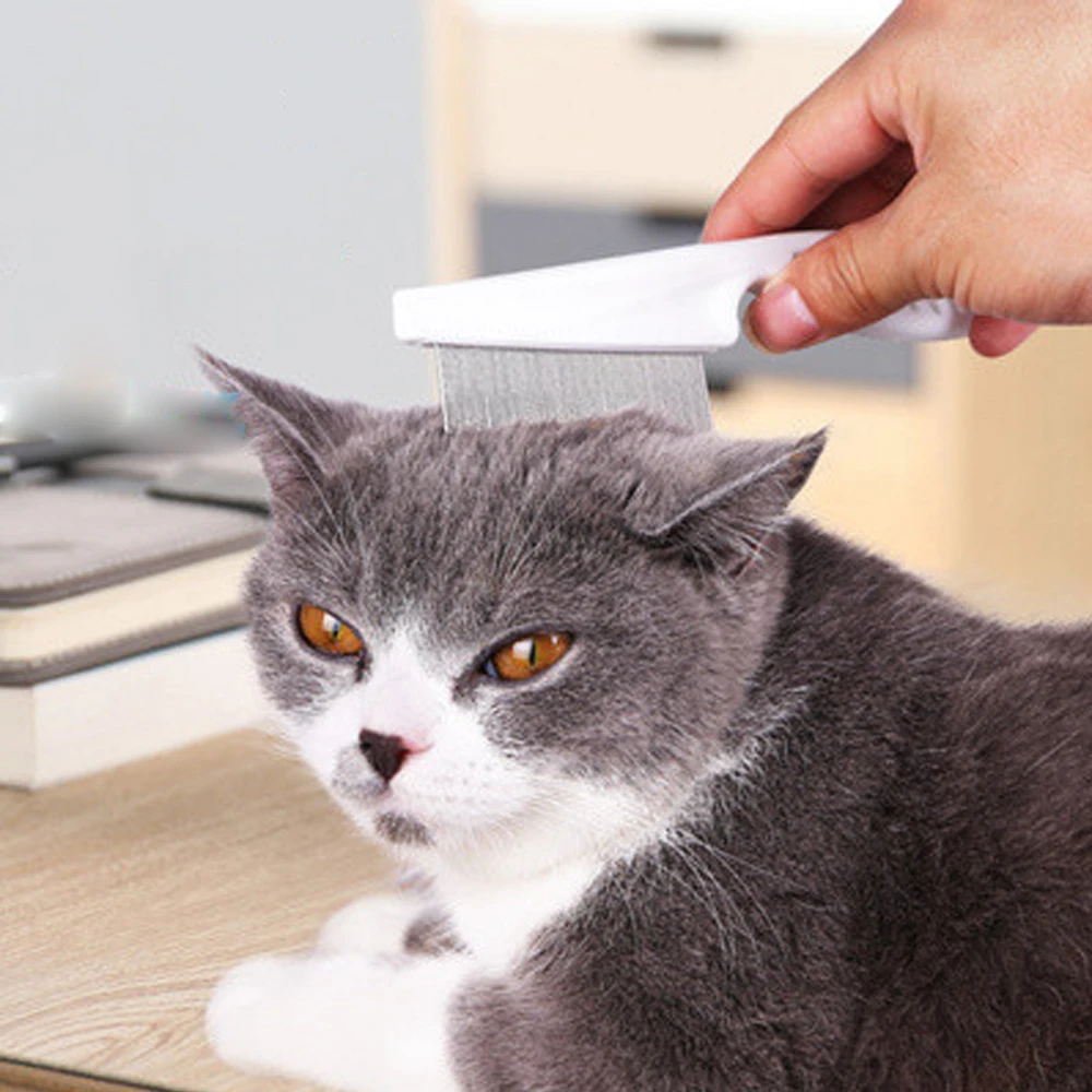

Protective Flea Comb for Cats Dogs Hair Grooming Tool Plastic Convenient Pet Comb Dog Flea Comb for Short Long Hair Dogs Cats