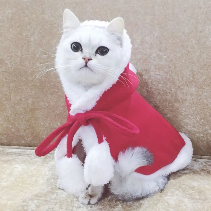 Костюм для домашних животных модные шали кошек щенков аксессуары собак
