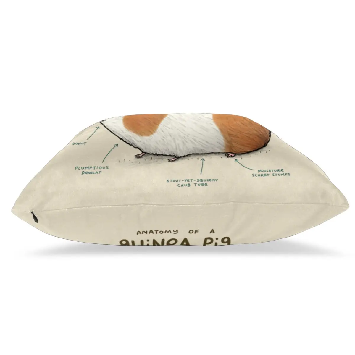 Диванные подушки Чехол Анатомия морская свинья Диван декоративные накидка для |