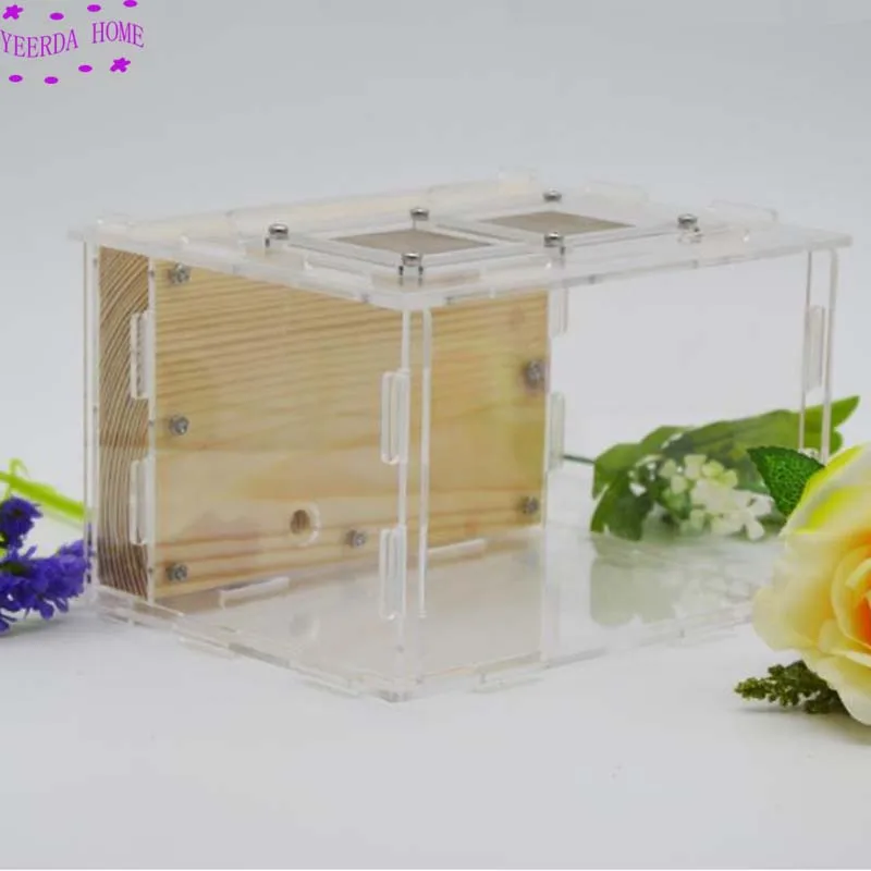 Деревянное Муравьиное гнездо акриловое насекомое вилла мастерская Детская