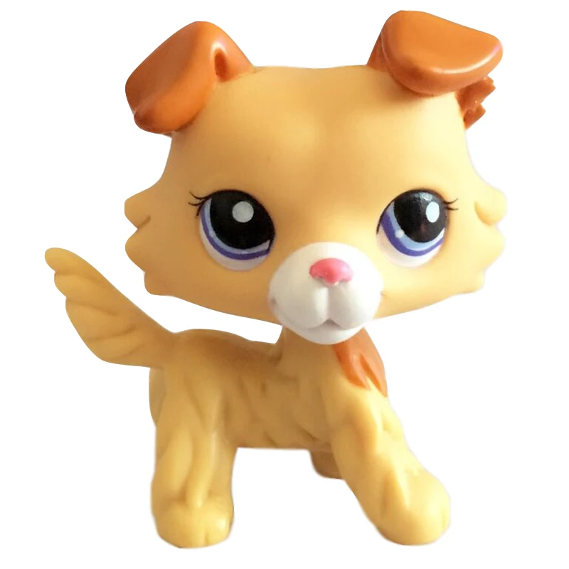 Настоящие игрушки Lps из зоомагазина кошка с короткой шерстью #2291 аксессуарами