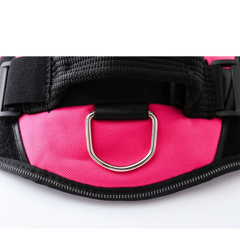 

Шлейка с именем собаки, для маленьких, средних и больших собак