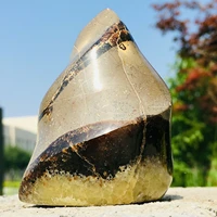 natural turtle back stone torch shape dragon crystal cleft gem healing