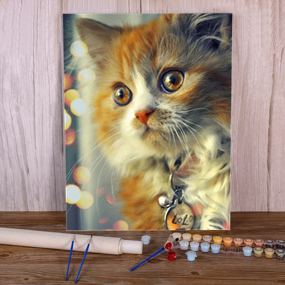 

Животные Рисунок кошки по номерам в упаковке масляные краски 50*70 холст картины на стену для детей оптовая продажа