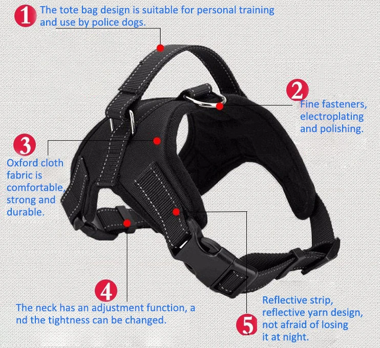 Товары для домашних животных жгут больших собак маленький светящийся