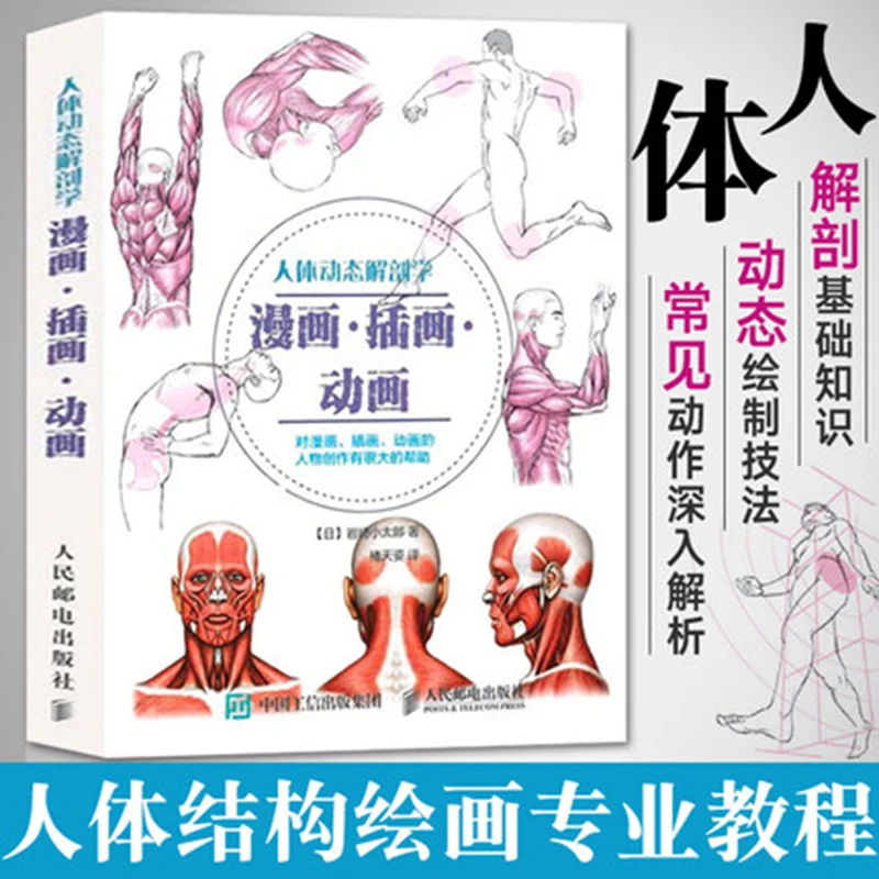 Human Anatomy Sketch Drawing Techniques Encyclopedia Anime Body Structure Teaching Painting Books Hand Book |