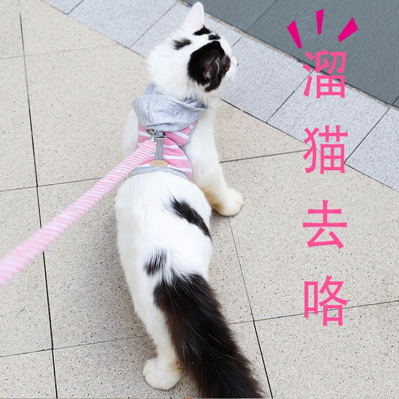 Жилет с капюшоном для собак полосатая шлейка и поводок щенков кошек куртка