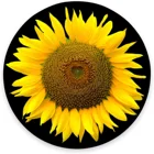 Круглый коврик для мыши, коврик для мыши в виде подсолнуха, игровой коврик для мыши с желтым цветком, водонепроницаемый круглый маленький коврик для мыши с нескользящей резиновой основой