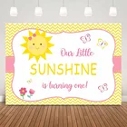 Фон для первого дня рождения, солнечный свет, первый день рождения, фон для фотостудии, детский день рождения, украшение, Бабочка, солнце, девочки, день рождения