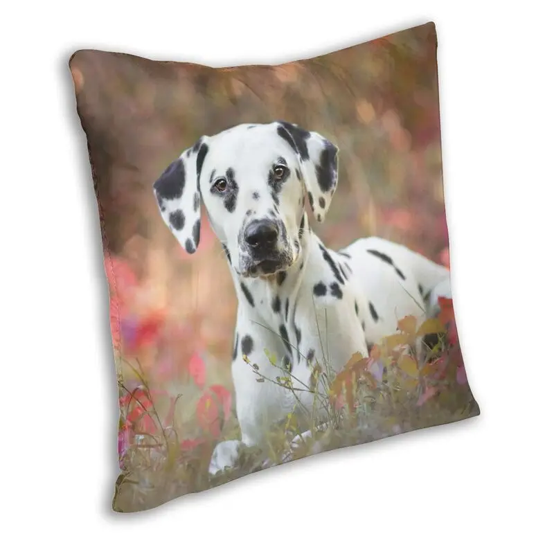 Наволочки для диванных подушек с изображением милой далматинской собаки рисунок