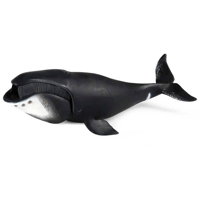 

Bowhead, Кит, сперма, морской Кит, модель, фигурка животного, образовательные детские украшения, день рождения