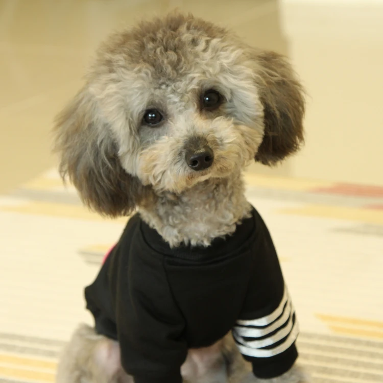 Милая толстовка с капюшоном для собак свитер принтом одежда куртка Sudaderas Perro