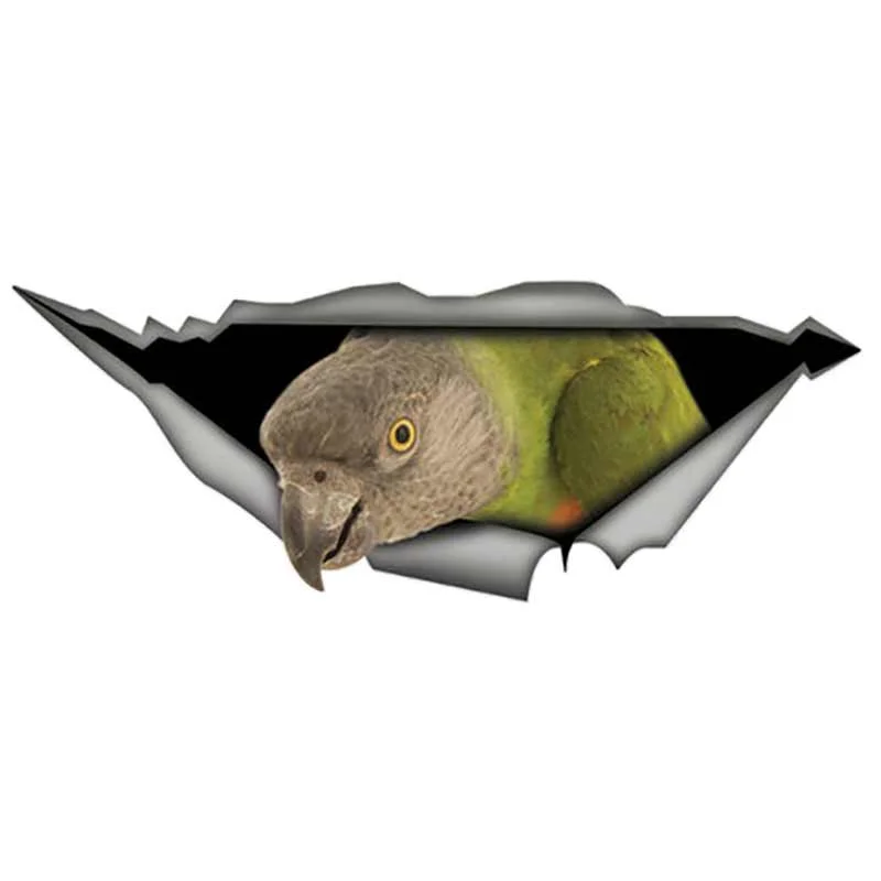 

3D Reflective Tearing Senegal Parrot Car Sticker Metal Decal Vinyl Bumper Sticker Car Decoration