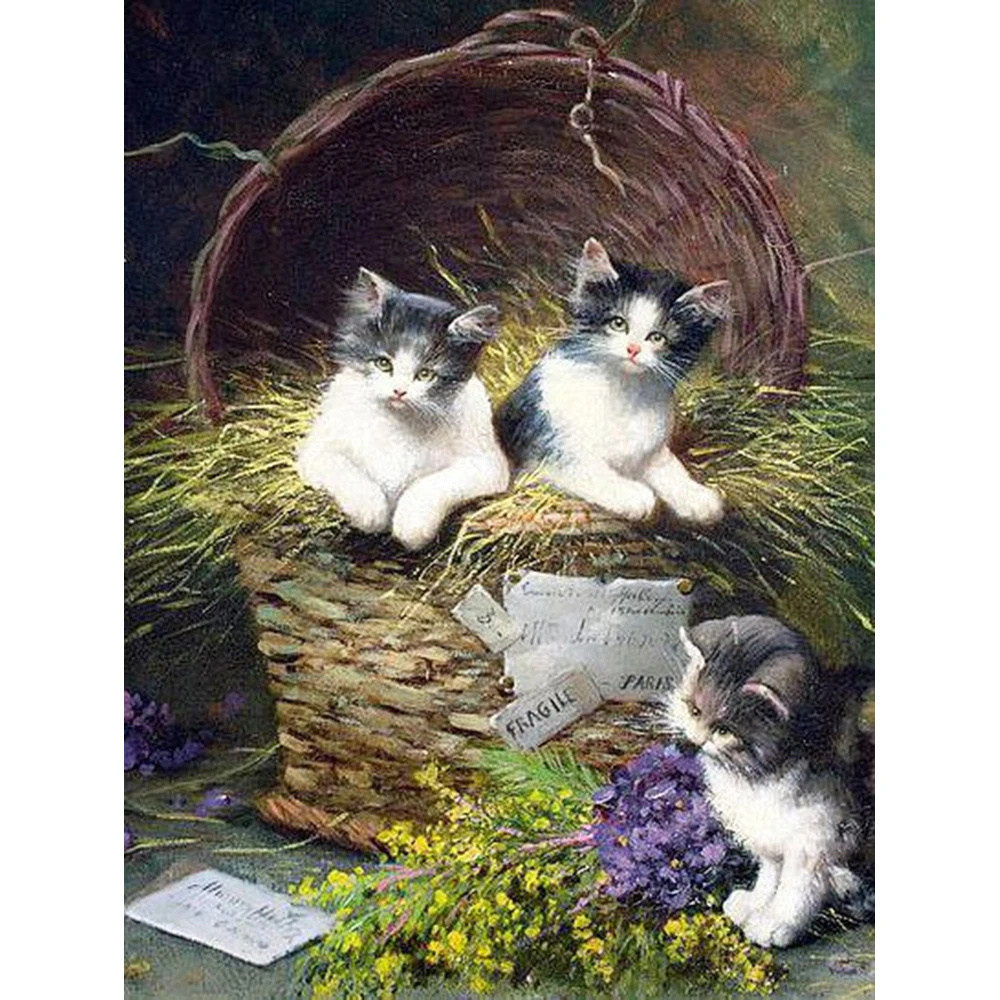 Алмазная вышивка сделай сам 5D с кошкой и рапсой алмазная живопись полное