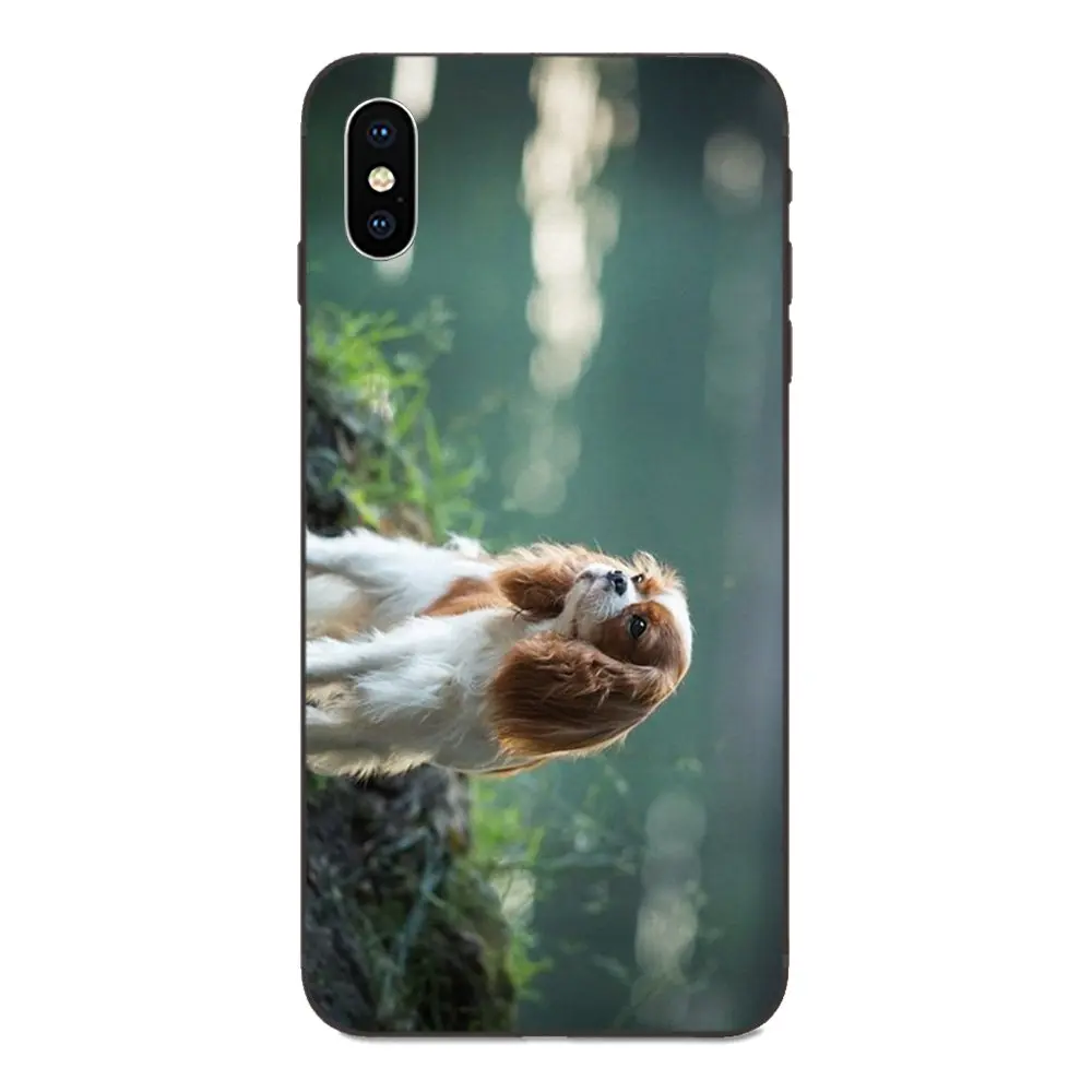 Кавалер король Шарль спаниель собака для Apple iPhone 4 4S 5 5S SE 6 6S 7 8 11 Plus X XS Max XR Pro мягкий